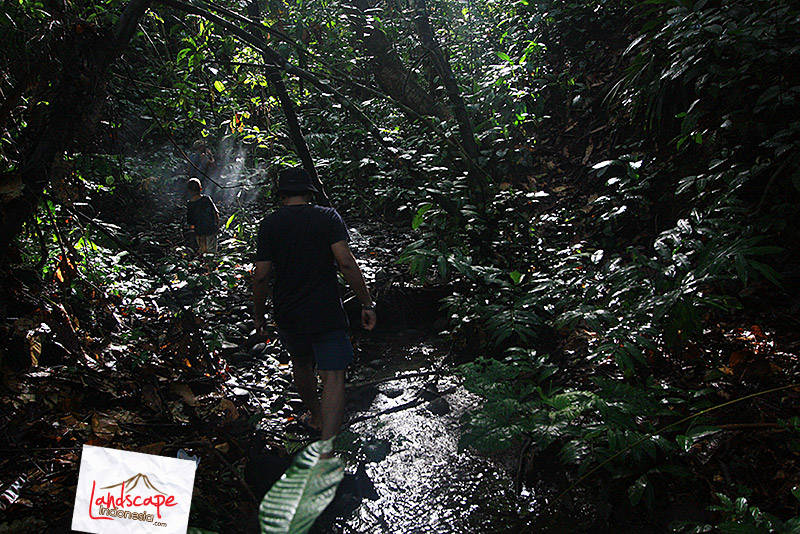 menyusuri sungai kecil menyusuri sungai kecil