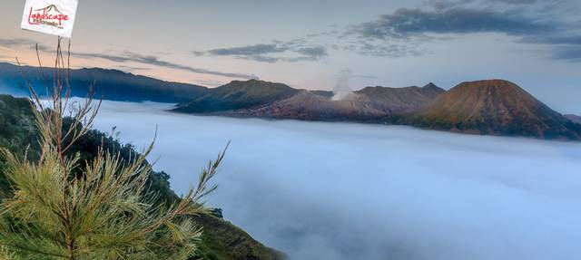 bromo - lautan kabut bromo - lautan kabut
