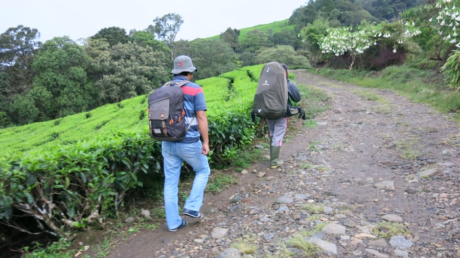catper Dempo - Menuju Pintu Rimba