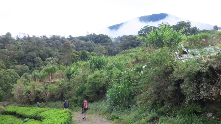 catper Dempo - Menuju Pintu Rimba