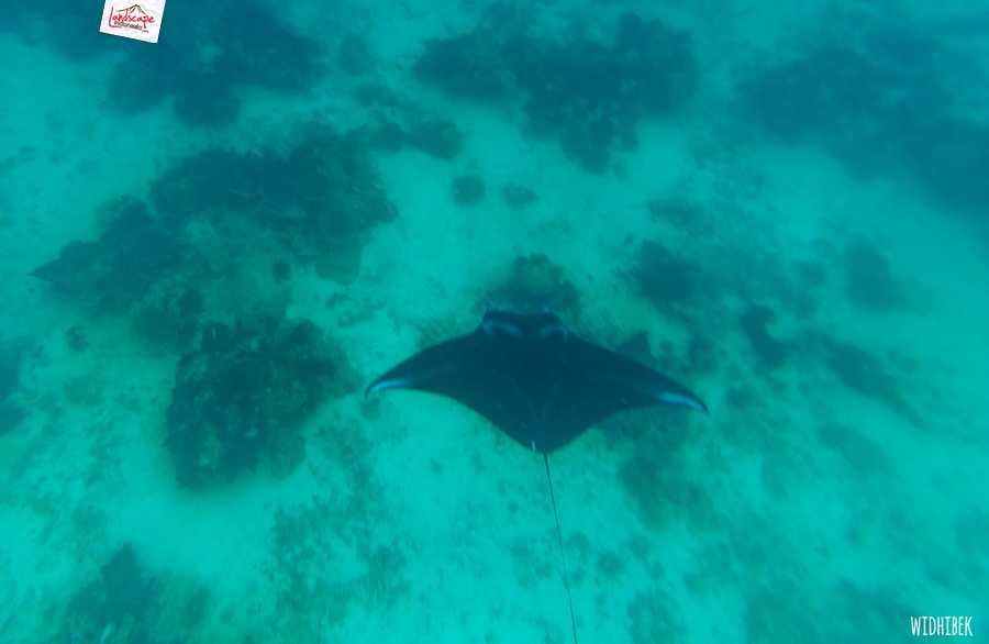 landscape indonesia - derawan