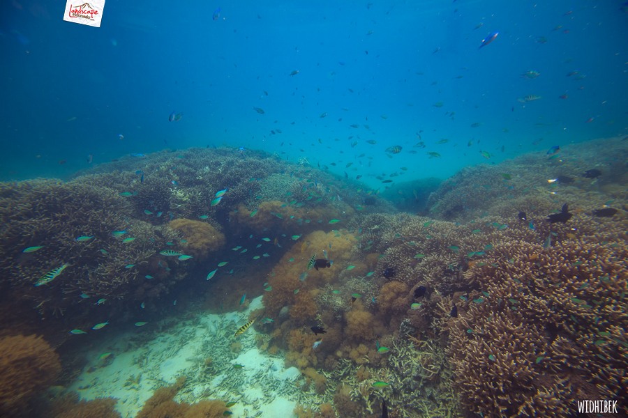 landscape indonesia - derawan