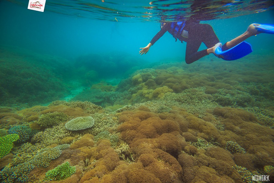 landscape indonesia - derawan
