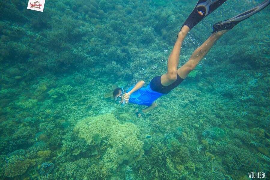 landscape indonesia - derawan