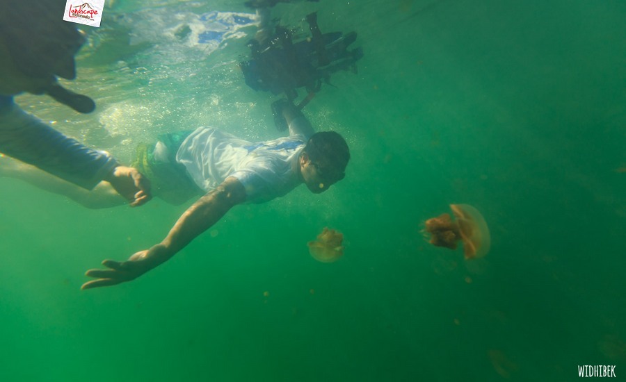 landscape indonesia - derawan