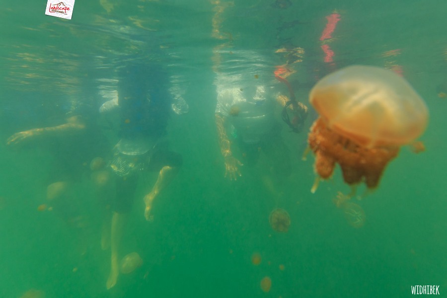 landscape indonesia - derawan