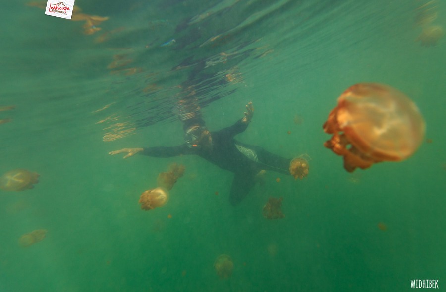 landscape indonesia - derawan