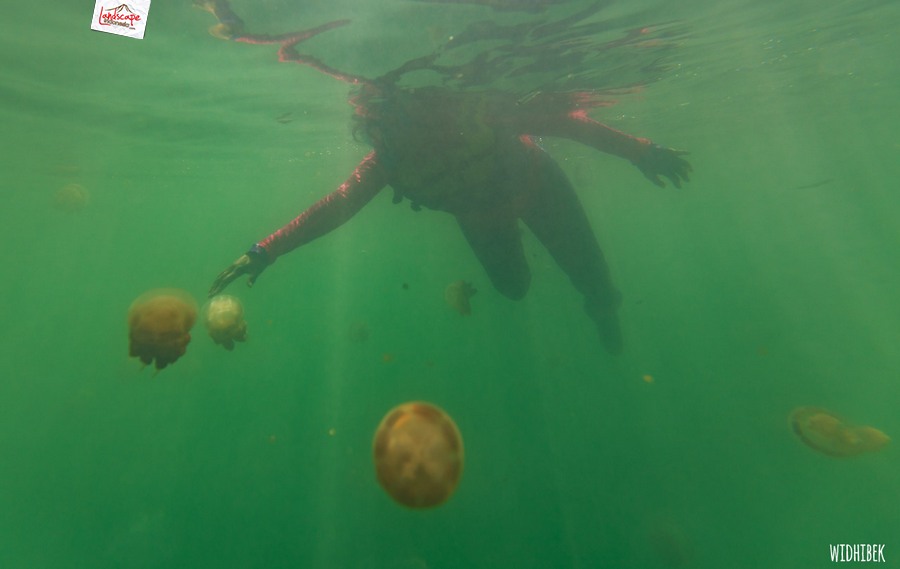 landscape indonesia - derawan