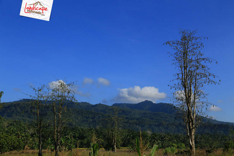 perbukitan sepanjang jalan menuju Larantuka perbukitan sepanjang jalan menuju Larantuka