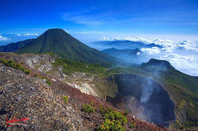 Gunung Pangrango dari puncak Gunung Gede Gunung Pangrango dari puncak Gunung Gede