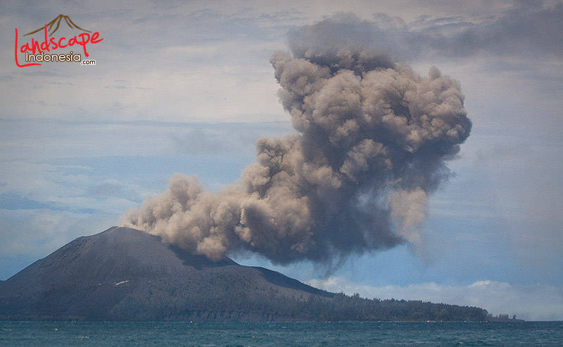 Letusan Gunung Krakatau Letusan Gunung Krakatau