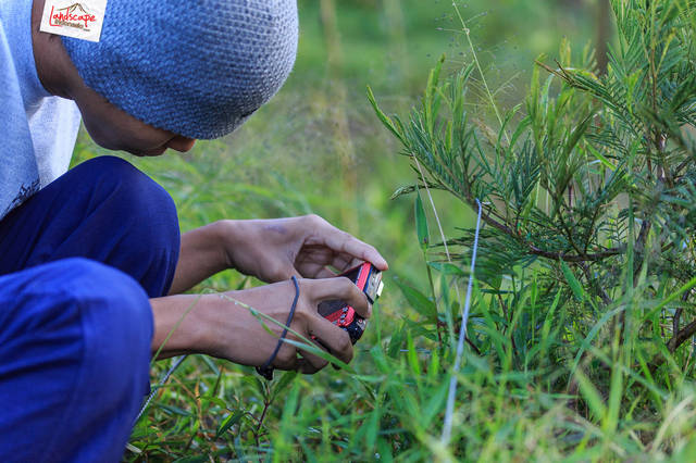 macro-isme macro-isme