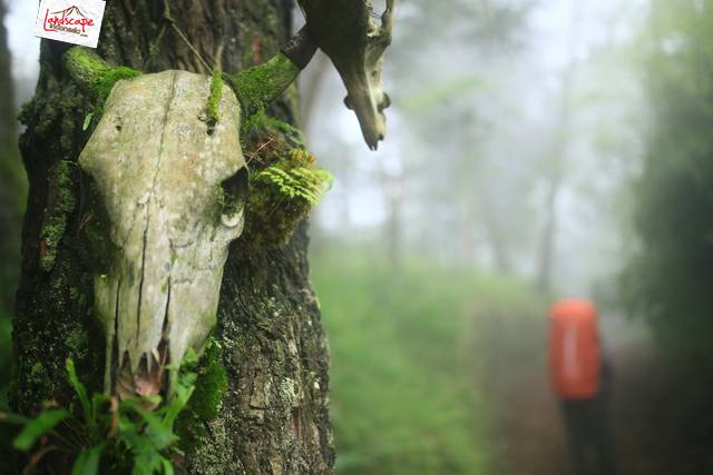 januari kemping ceria januari kemping ceria