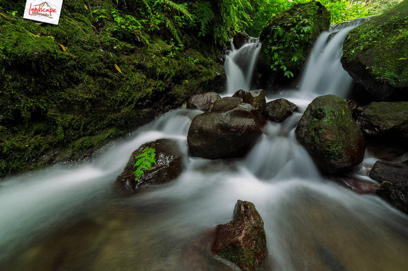 jumog versi mini jumog versi mini