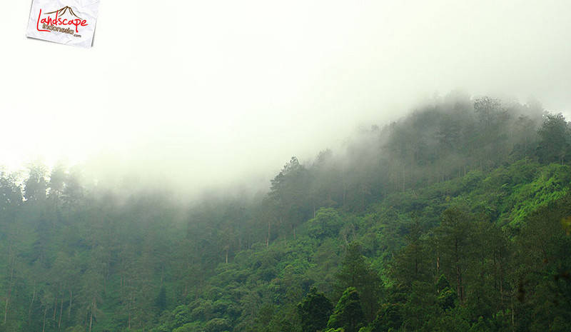 kabut menutupi punggungan bukit kabut menutupi punggungan bukit