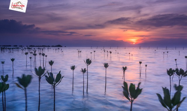 kemping pulau seribu kemping pulau seribu