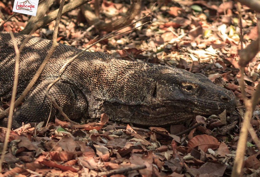 jaga kelestarian kami jaga kelestarian kami