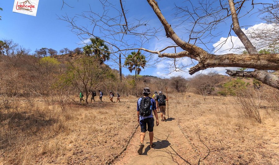 treking menuju bukit fregata treking menuju bukit fregata