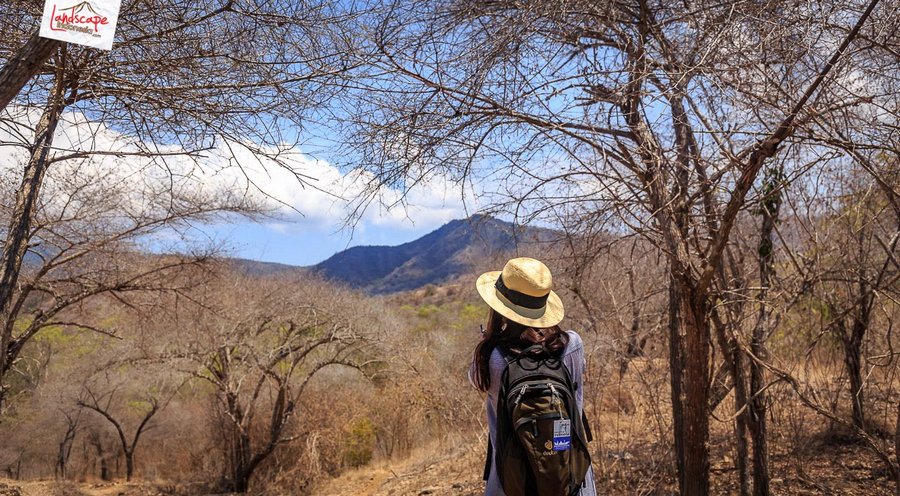 menikmati keindahan pulau komodo menikmati keindahan pulau komodo