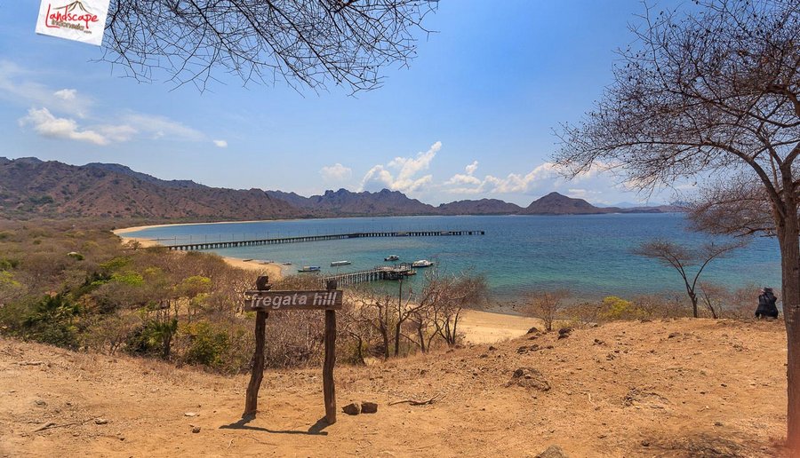 view dari atas bukit fregata view dari atas bukit fregata