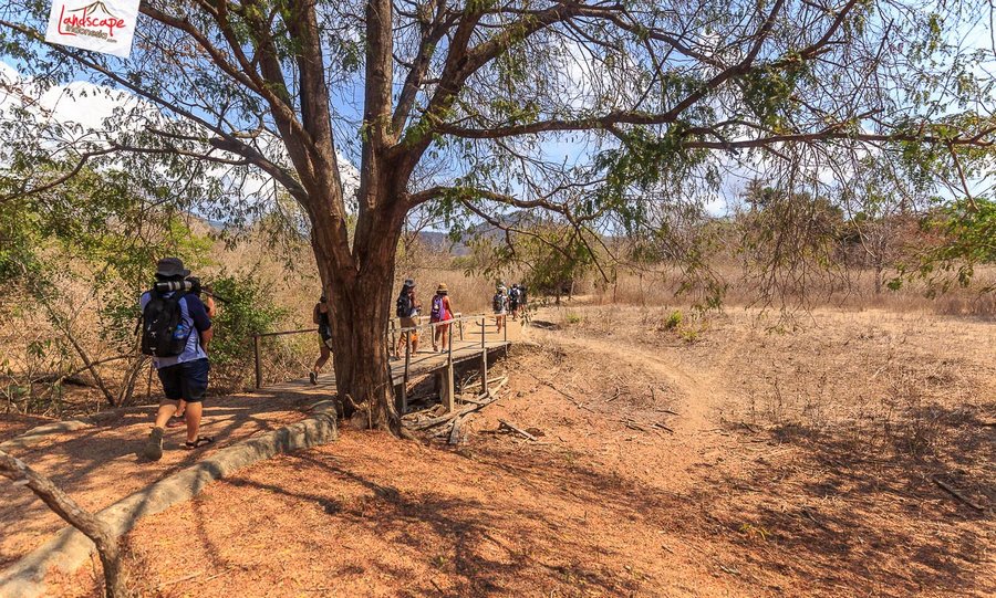 trekking di pulau komodo trekking di pulau komodo