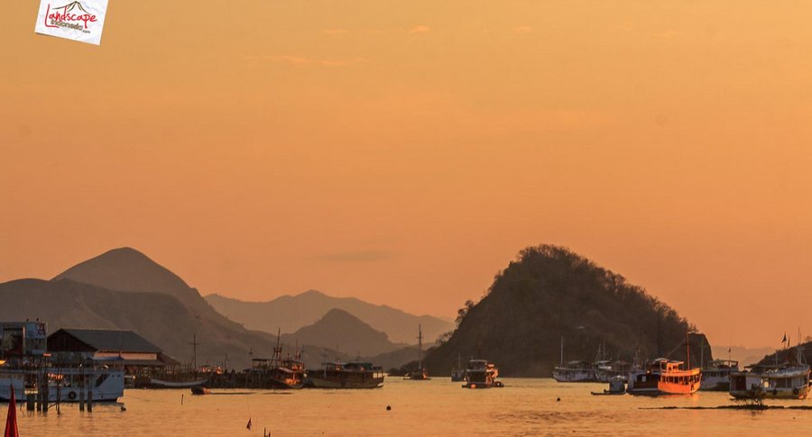 aktivitas di labuhan bajo aktivitas di labuhan bajo