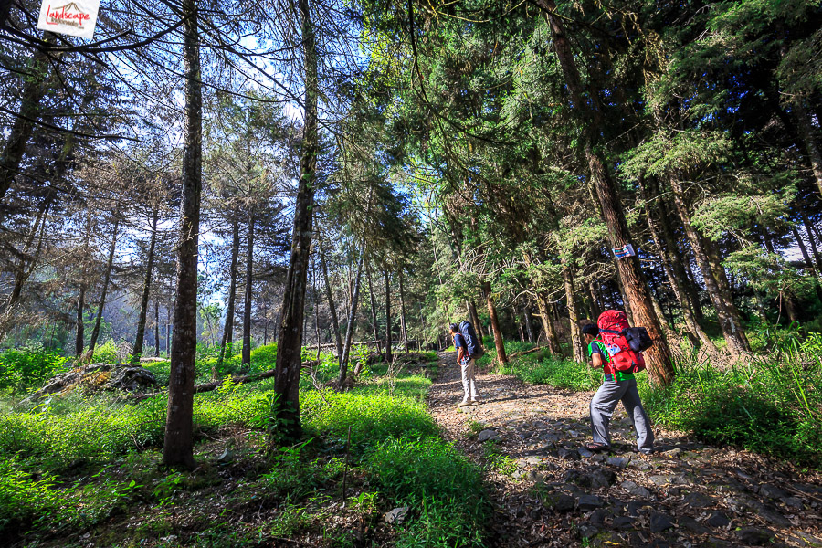 Panorama 360 Gunung Lawu