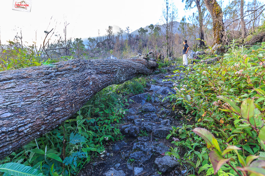 Panorama 360 Gunung Lawu