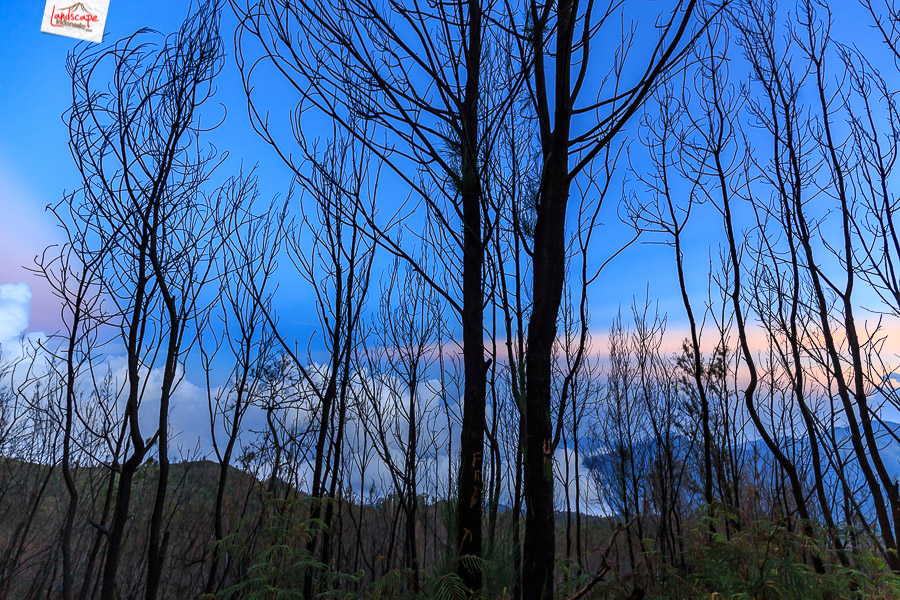 Panorama 360 Gunung Lawu