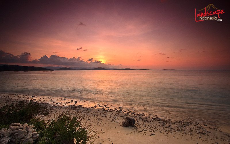 semburat ungu di elak elak semburat ungu di elak elak