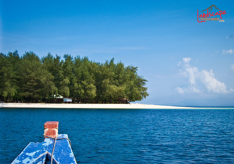 welcome to paradise welcome to paradise