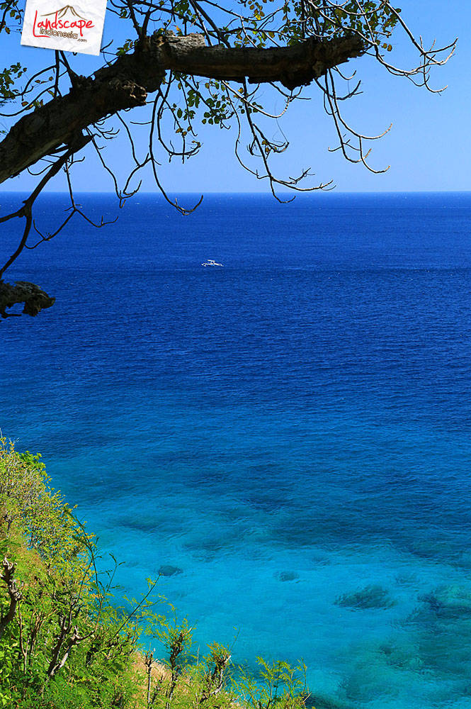 jadi pengen nyemplung explore lombok - jadi pengen nyemplung