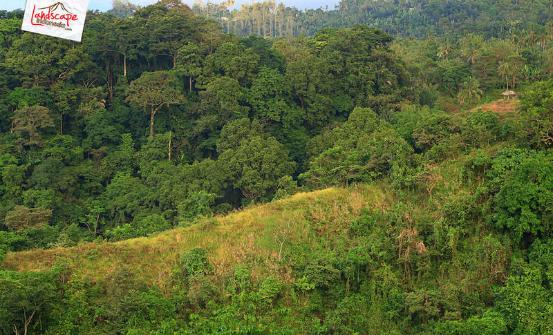 salah satu sudut senaru senaru lombok - salah satu sudut senaru