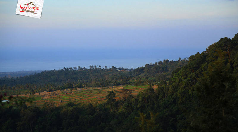 punggungan bukit selatan senaru lombok - punggungan bukit selatan