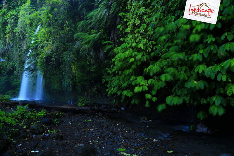 sendang gile dari samping sendang gile dari samping