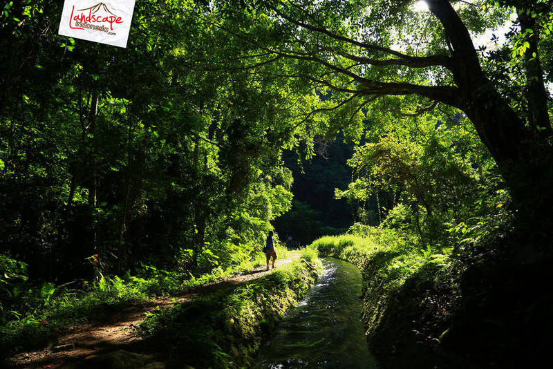 siluet pagi di jalur irigasi tiu kelep - siluet pagi di jalur irigasi