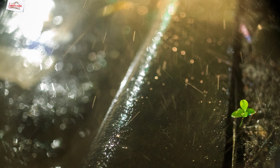 memotret suasana hujan