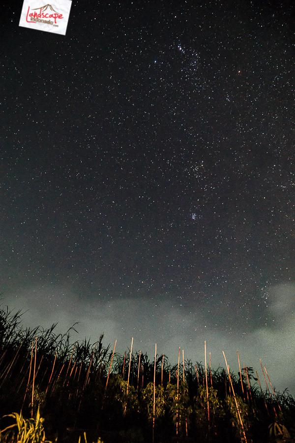 Malam berkabut di Magelang Malam berkabut di Magelang