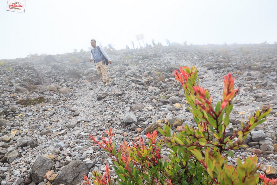 12 jam gunung merapi