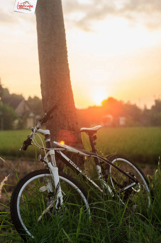 bermandikan cahaya mentari bermandikan cahaya mentari