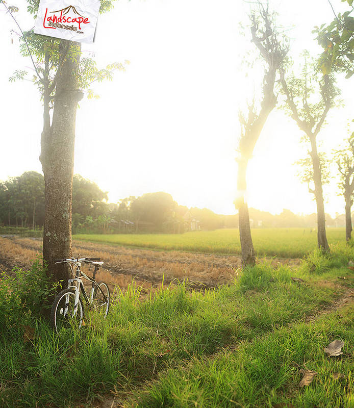 ndak selamanya over itu jelek ndak selamanya over itu jelek