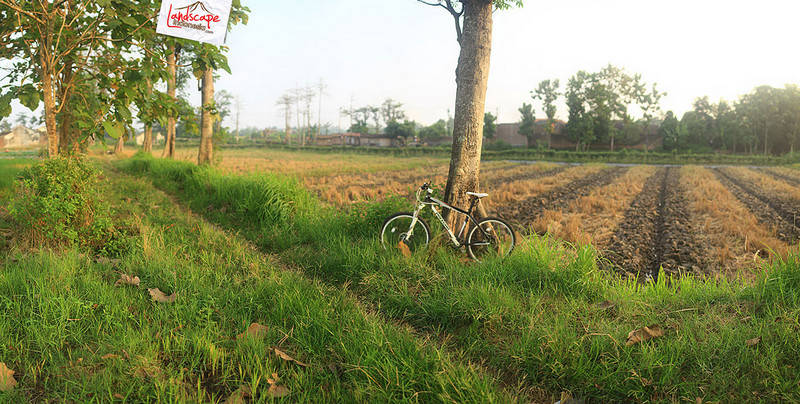 xtrada di antara pagi xtrada di antara pagi
