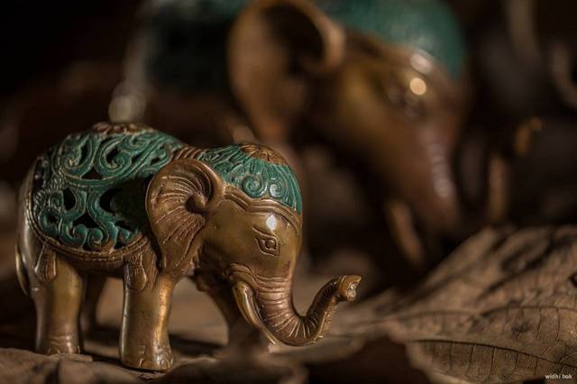 jepretan dengan flash jepretan dengan flash