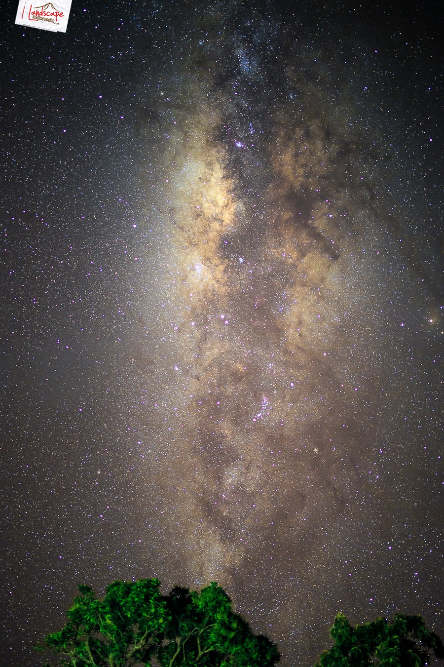 milky way samyang lensa 35mm f/1.4 review