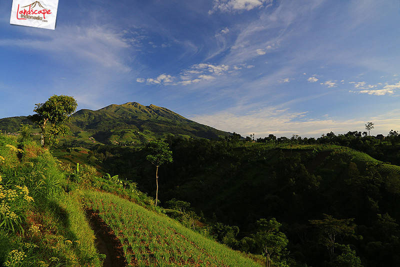 pagi gunung merbabu pagi gunung merbabu