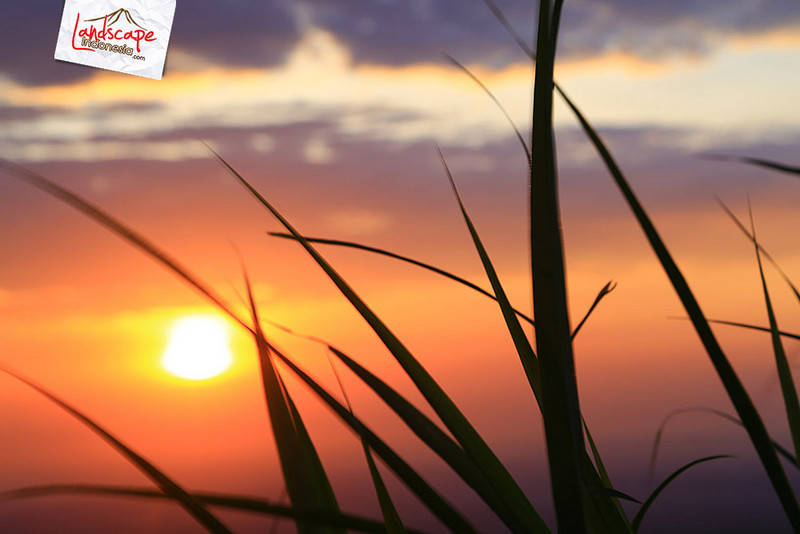 mentari tlah bersinar mentari tlah bersinar