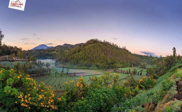 Semeru dalam frame Semeru dalam frame