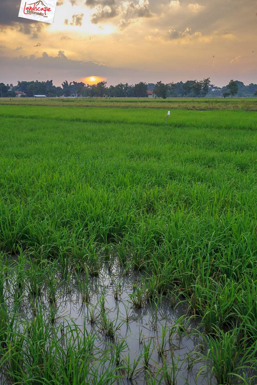 senja di tepian sukoharjo senja di tepian sukoharjo