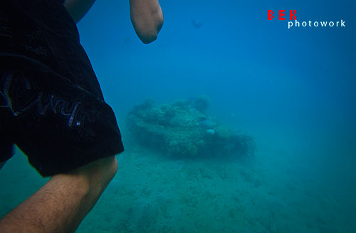 karang sendirian..kasihan karang sendirian..kasihan