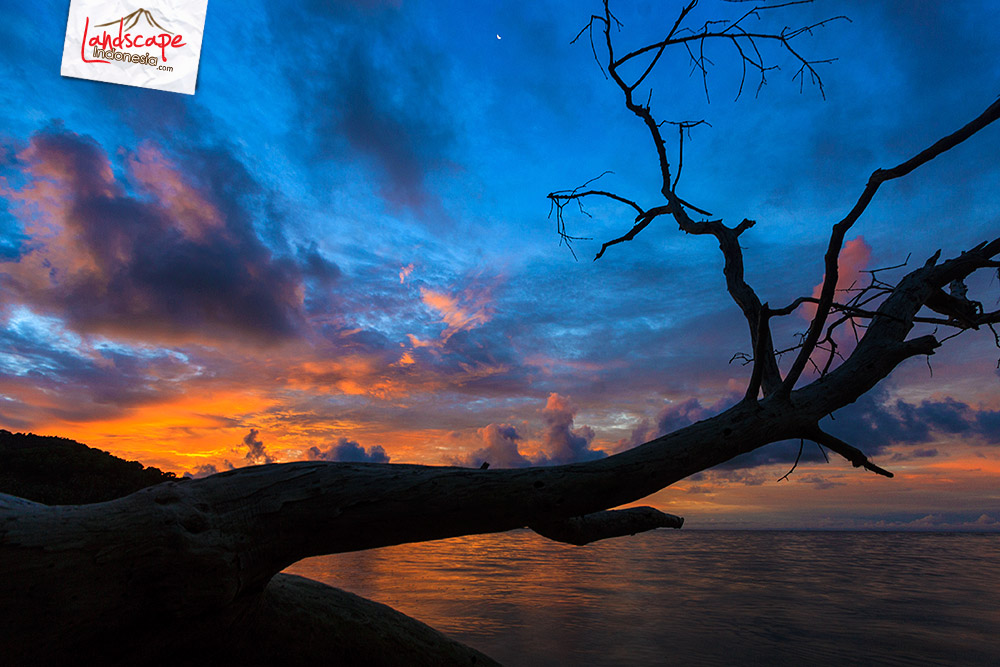 menanti senja di singkawang menanti senja di singkawang